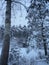 Snow clearing in the forest on the outskirts of the village.