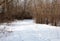 Snow clearing in the woods the day