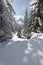 Snow Climbing through a forrest in the Dolomites