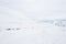 Snow corridor on Tateyama Kurobe Alpine Route, Japanese Alp