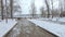 Snow-covered alley in the old part of the housing estate Pridneprovsk