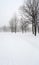 Snow covered alley in a winter park