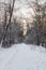 Snow-covered alley in the woods with sunset sky