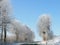 Snow-covered asphalt road outside the city in perspective between frozen trees. A fabulous winter landscape