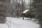 Snow-covered barn in woods