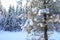 SNow covered beautiful old American rustic country side landscape with bridge, trail and water canal. Peaceful and inspiring