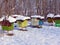 Snow covered bee hives in Romania