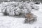 Snow-covered bench in city park at winter day