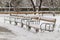 Snow-covered benches