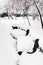 snow-covered benches in public urban garden