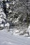 Snow Covered Blue Bird Box