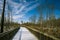 Snow covered boardwalk on cary greenway after a storm