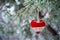 On the snow-covered branch of Christmas trees, Christmas decorations hang in the form of transparent balls, hearts of felt.