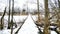 Snow Covered Bridge Leading out to Silver Lake