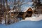 Snow Covered Bridge in New England