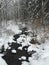 Snow Covered Brook