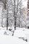 snow-covered cars in city in snowfall