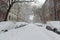 Snow covered cars on street after winter snowstorm