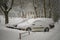 Snow covered cars stuck at parking