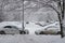 Snow-covered cars and trees bent under the weight of snow