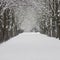 Snow-covered city street. Winter season. Trees covered with snow