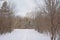 Snow covered cross country skiing path throug a bare winter forest