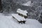 Snow covered empty bench in Austria