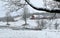 Snow covered farm land in New Hampshire USA