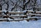 Snow Covered Fence