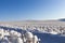 Snow covered field