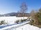 Snow covered field dirt road curve in winter forest with tall birch tree, rural village landscape, sunny day