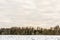 Snow-covered field and forest on the horizon on a clear winter day. Nature of Belarus in winter. White drifts