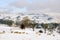 Snow Covered Field and Hills with Sheep