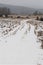 Snow covered field with round bales of hay