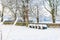 Snow covered field in winter with four silage bales,trees and stone wall