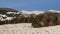 Snow covered fields and naked winter tree lines under hills of Low Tatras mountains.