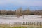 Snow covered fields with trees in the Flemish countryside