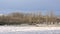 Snow covered fields with trees in the Flemish countryside