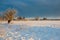 snow covered fields in winter countryside