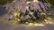 Snow covered fir branches with decorative included christmas garlands at night