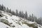 Snow covered fir trees growing among huge boulders on the mountainside