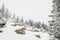 Snow covered fir trees growing among huge boulders on the mountainside