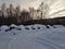 Snow covered firewood stacks outside in the cold arctic circle wintertime