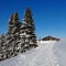 Snow covered firs and timber chalet