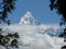 Snow-covered Fishtail mountain, Annapurna range, Nepal, framed by branches.