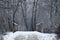 Snow Covered Footbridge Deep in the Forest