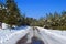 Snow-covered footpath the leader in wood