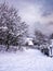 Snow covered footpath with trees, a fence and a house in the background - snowfall captured in motion