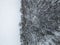 Snow covered forest bordering to a white snowy field