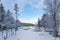 Snow covered forest with frozen lake, Hedmark Norway